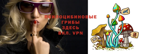 бошки Слюдянка