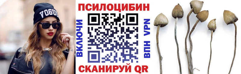 цены   площадка состав  Псилоцибиновые грибы Cubensis  Ивангород 